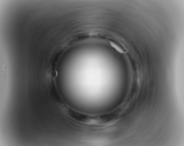 X0000099980510200805231427