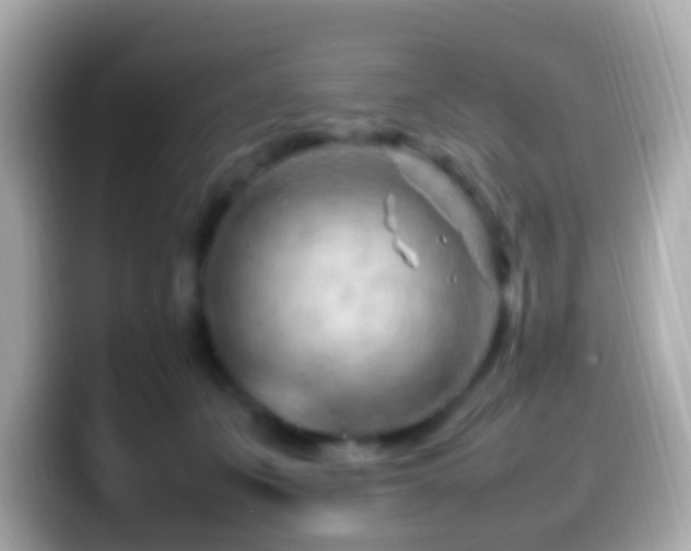 X0000099980511200805231427