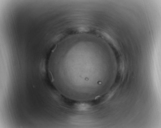 X0000099980512200805231427