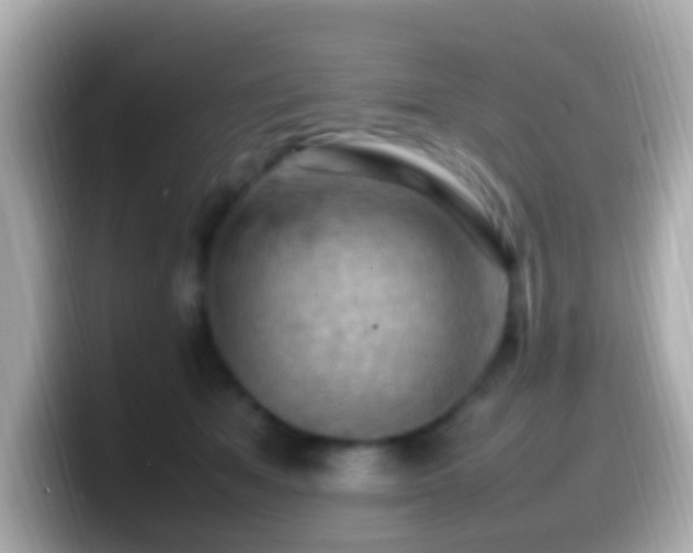 X0000099980513200805231427