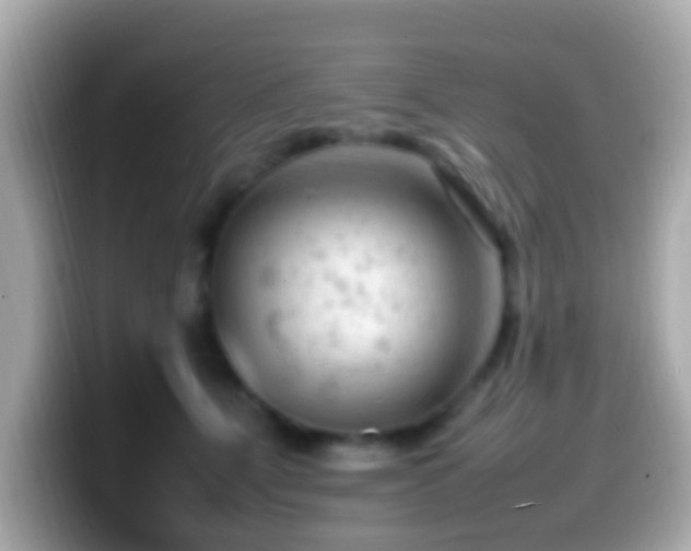 X0000099980515200805231427