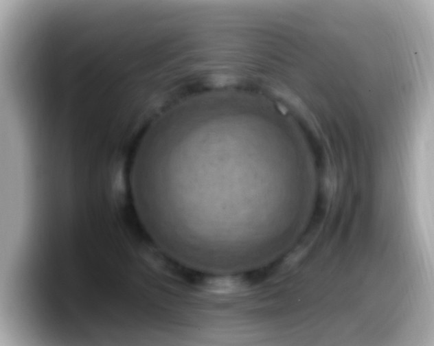 X0000099980516200805231427