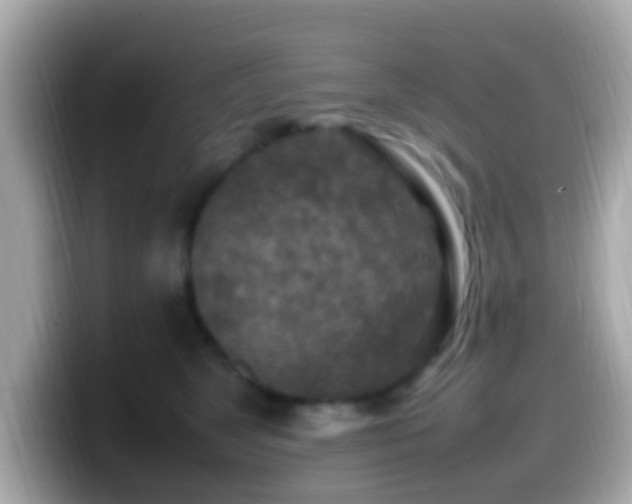 X0000099980517200805231427