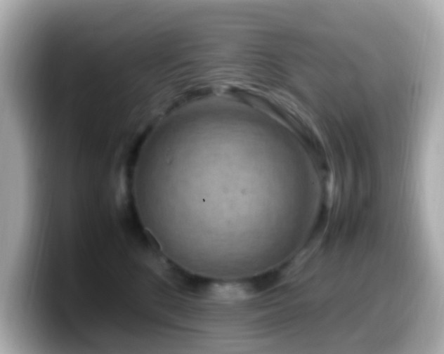 X0000099980520200805231427