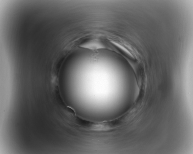 X0000099980521200805231427