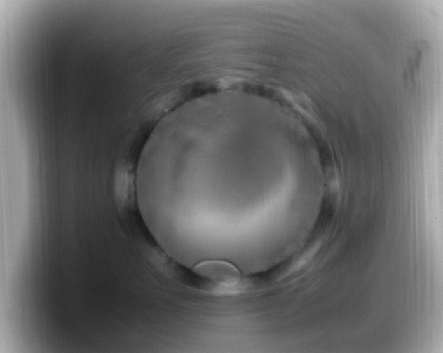 X0000099980527200805231427