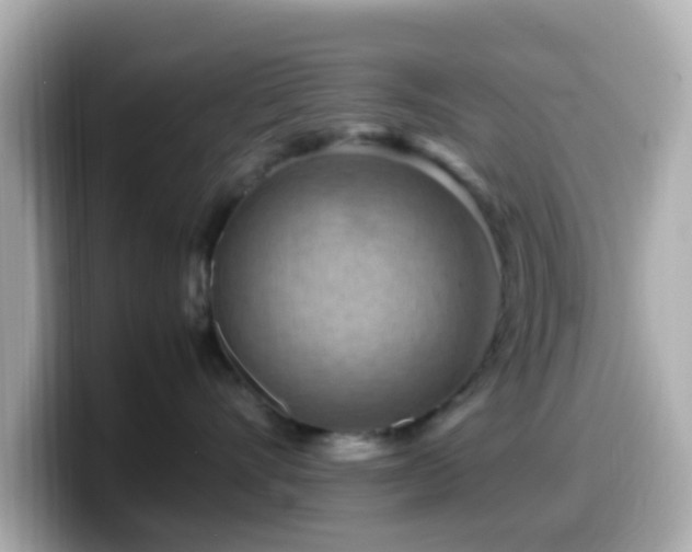 X0000099980528200805231427