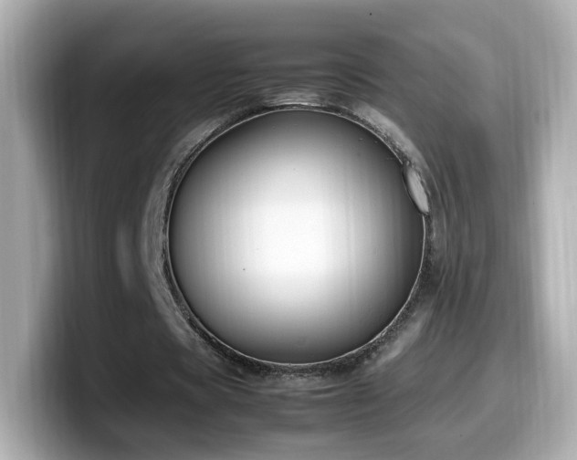 X0000099980529200805231426