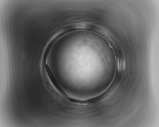 X0000099980531200805231426