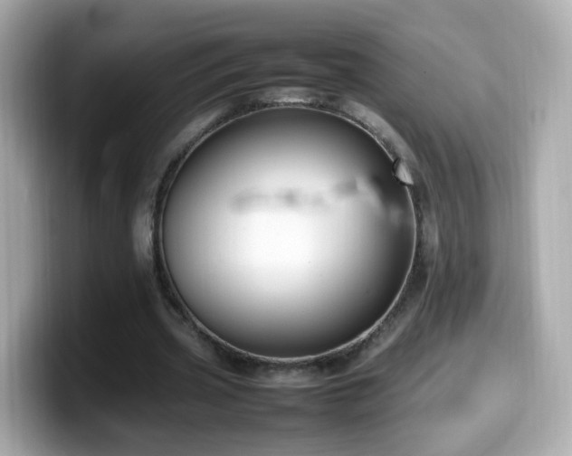 X0000099980533200805231426