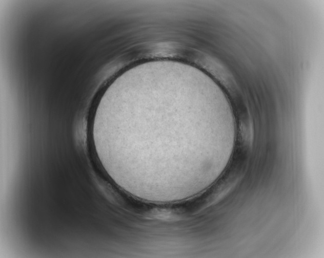 X0000099980534200805231426