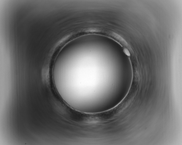 X0000099980535200805231426