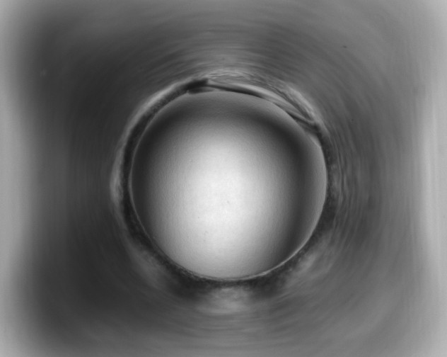 X0000099980536200805231426