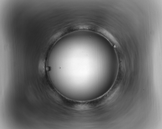 X0000099980537200805231427