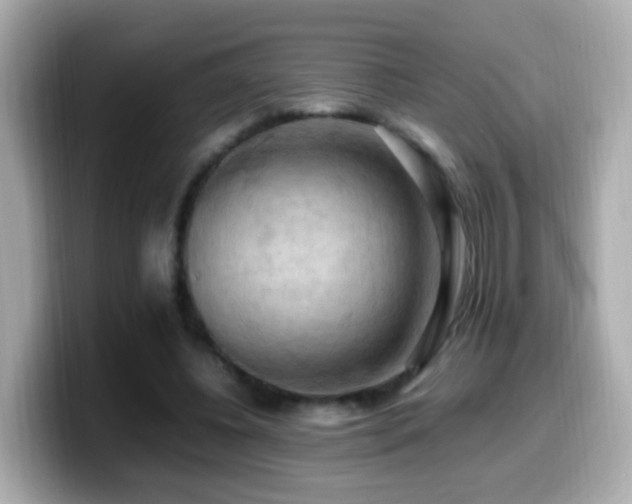 X0000099980540200805231427