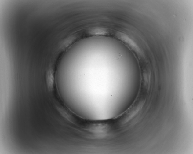 X0000099980541200805231427