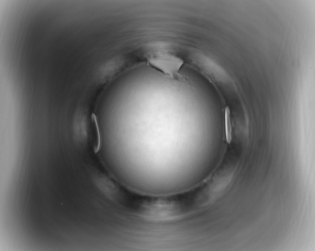 X0000099980546200805231427
