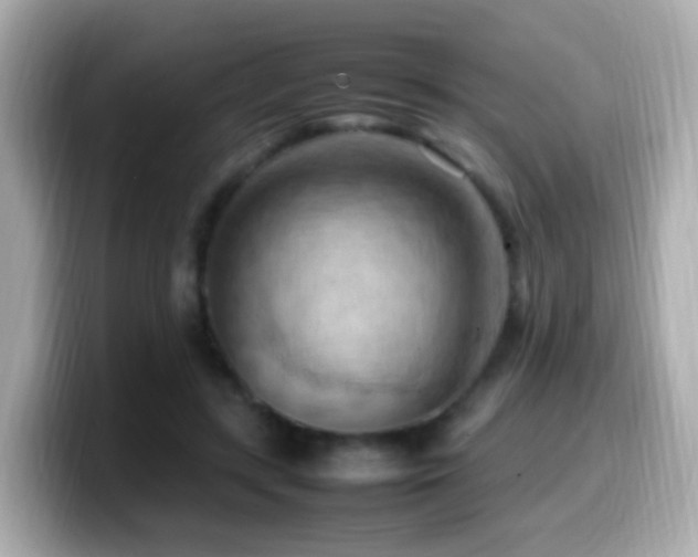 X0000099980547200805231427