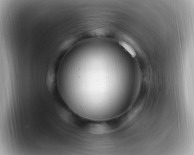 X0000099980548200805231427
