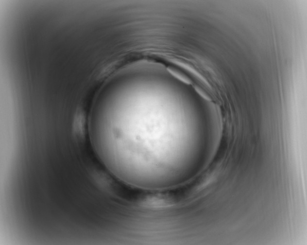 X0000099980550200805231427