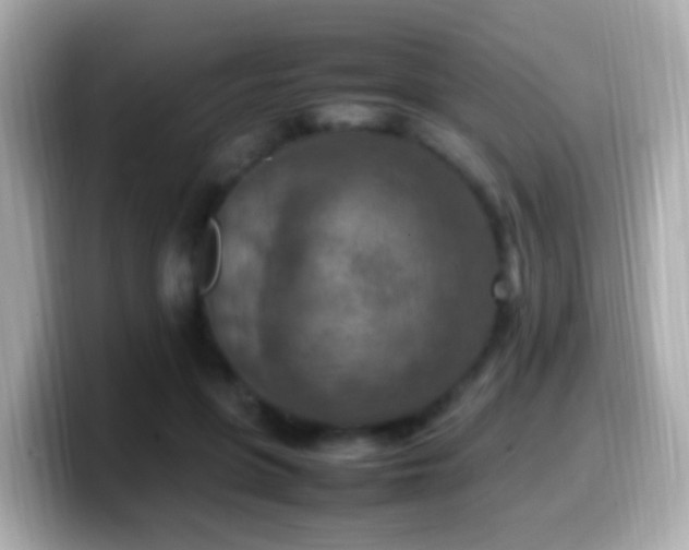 X0000099980551200805231427