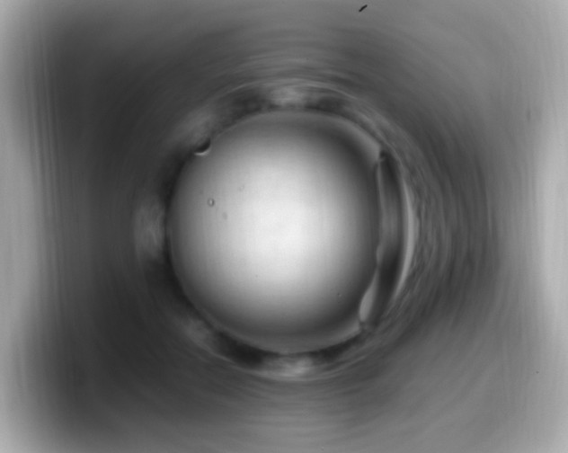 X0000099980554200805231427