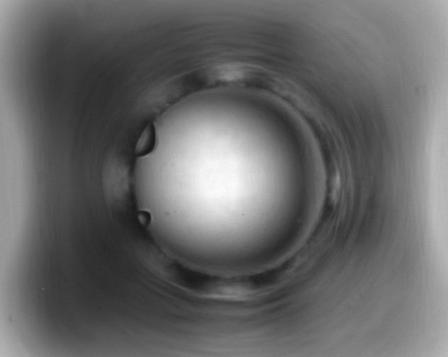 X0000099980555200805231427