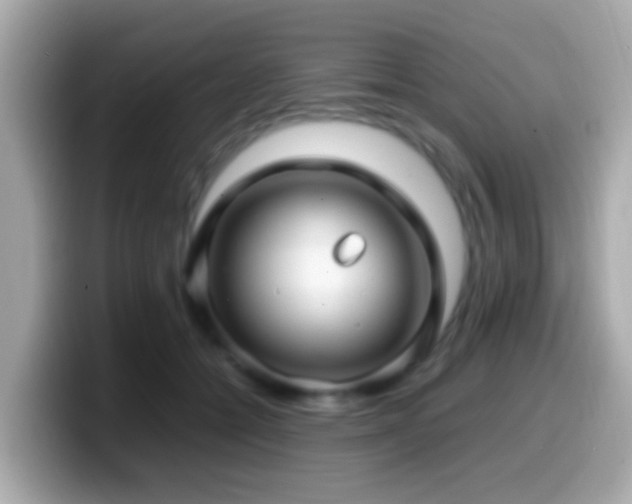 X0000099980558200805231427