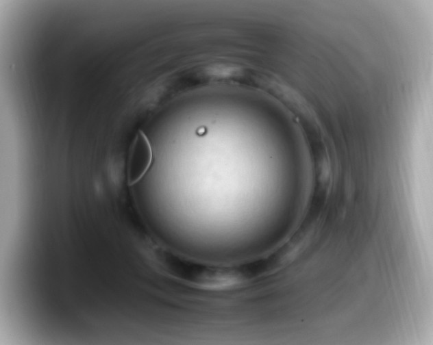 X0000099980559200805231427