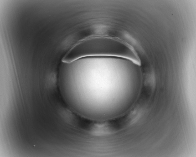 X0000099980560200805231427