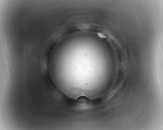 X0000099980561200805231427