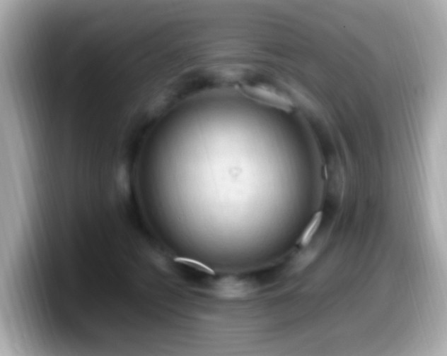 X0000099980562200805231427