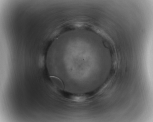 X0000099980563200805231427