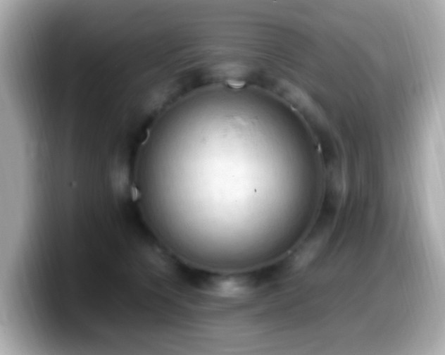 X0000099980564200805231427