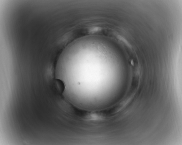 X0000099980565200805231427