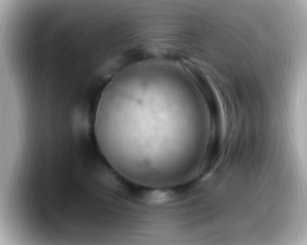 X0000099980566200805231427