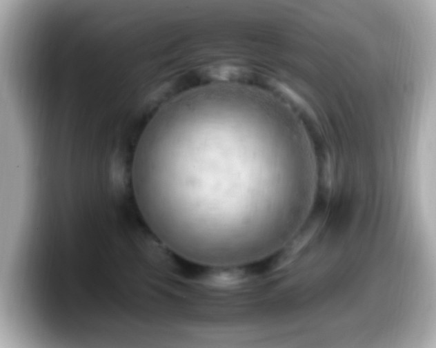 X0000099980569200805231427