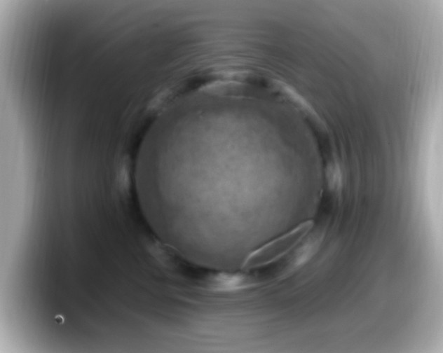 X0000099980570200805231427