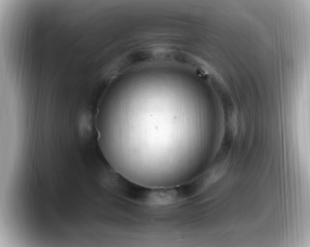 X0000099980571200805231427