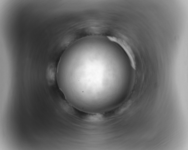 X0000099980576200805231427