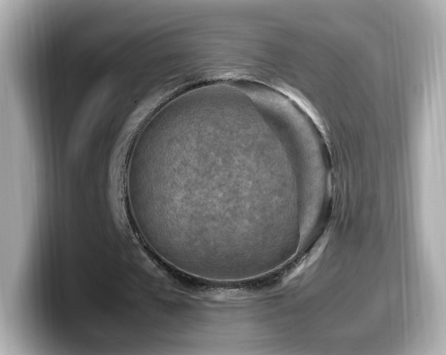 X0000099980577200805231426