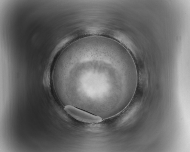X0000099980581200805231426