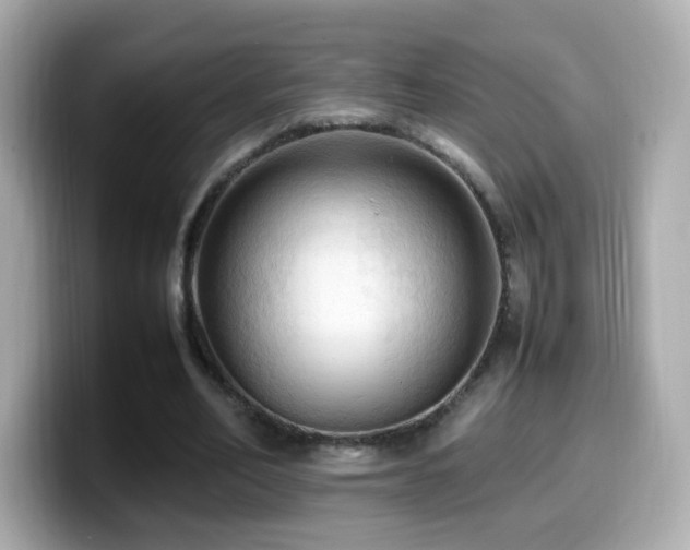X0000099980582200805231426