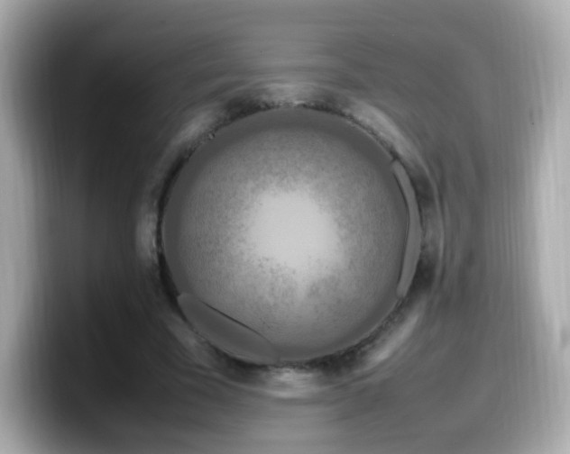 X0000099980585200805231426