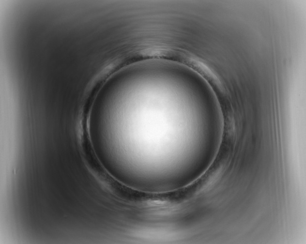 X0000099980586200805231426