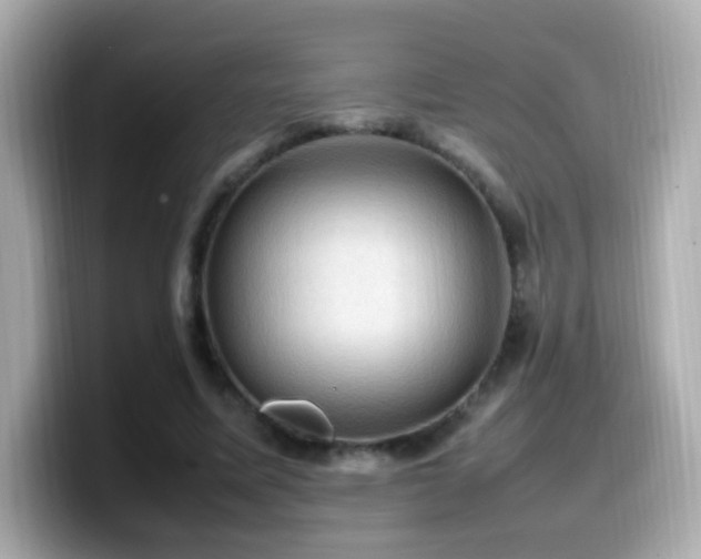 X0000099980587200805231426
