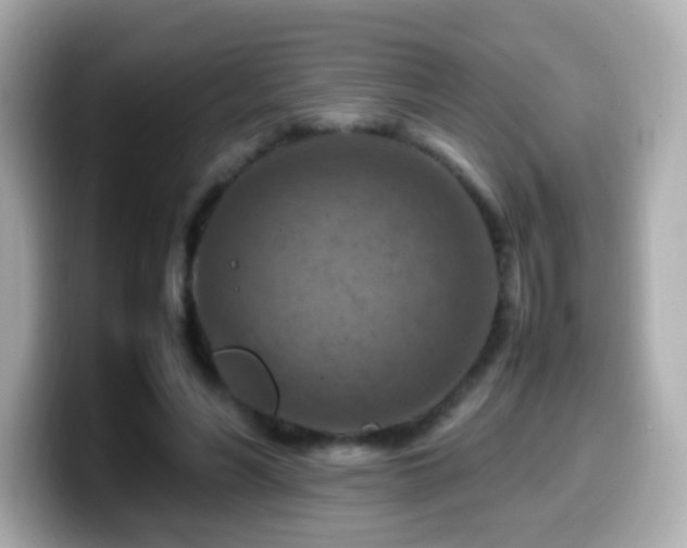 X0000099980590200805231426