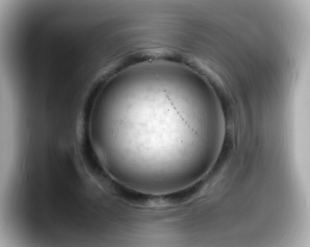 X0000099980591200805231426