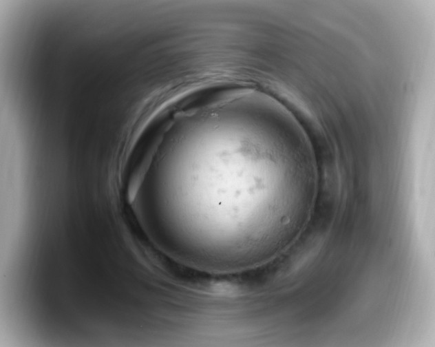 X0000099980592200805231426