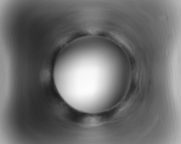 X0000099980595200805231426